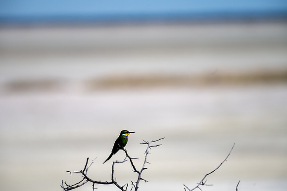 20220419_namibia-20196.jpg