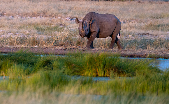 20220419_namibia-16027.jpg