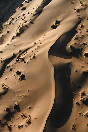 20220419_namibia-1741.jpg