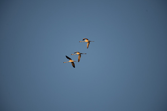20220419_namibia-13184.jpg