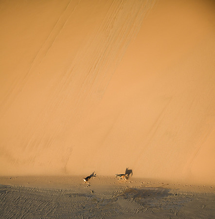 20220419_namibia-2451.jpg