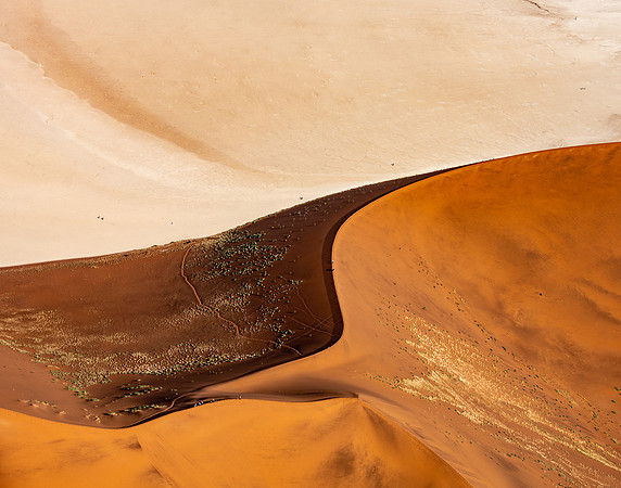 20220419_namibia-9381.jpg