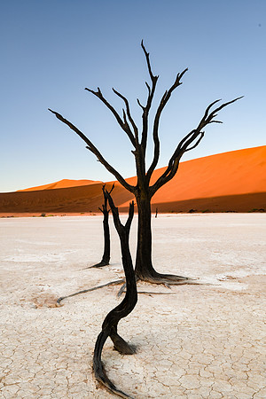 20220419_namibia-2834.jpg