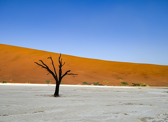 20220419_namibia-2636.jpg