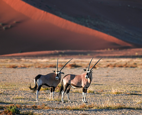 20220419_namibia-7479.jpg