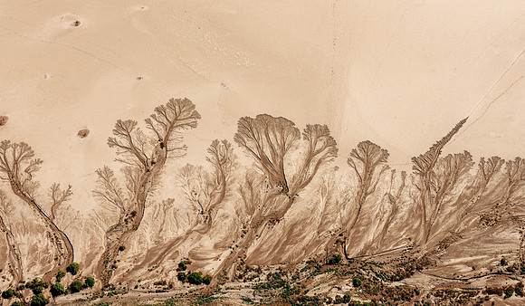 20220419_namibia-12824.jpg