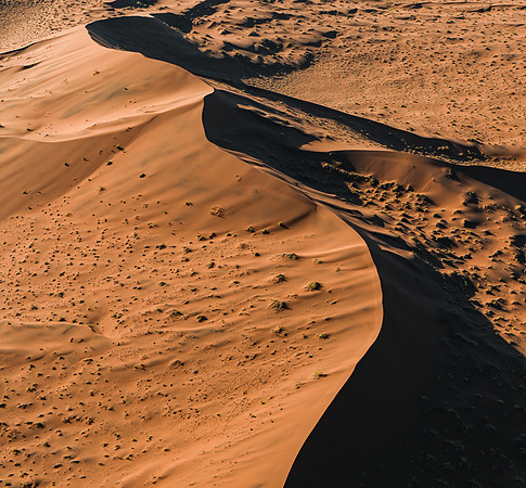 20220419_namibia-1465.jpg