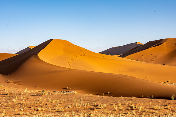 20220419_namibia-9108.jpg
