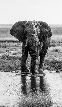 20220419_namibia-22218-2.jpg