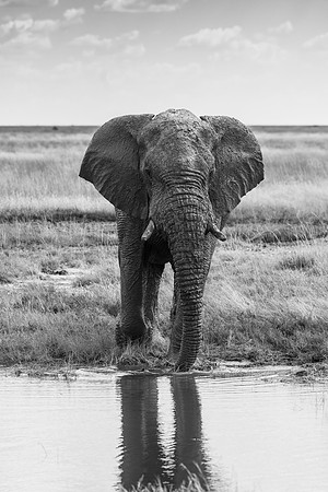 20220419_namibia-20065-2.jpg