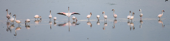 20220419_namibia-12840.jpg