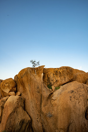 20220419_namibia-14732.jpg