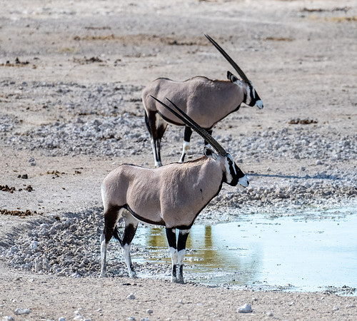 20220419_namibia-19850.jpg