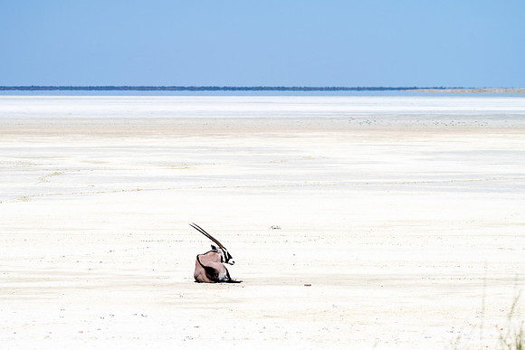 20220419_namibia-21067.jpg