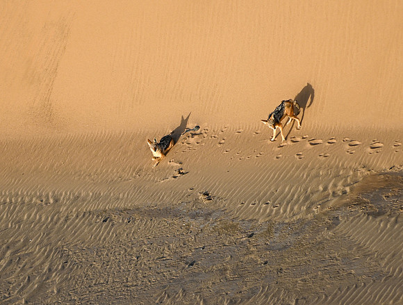 20220419_namibia-1901.jpg