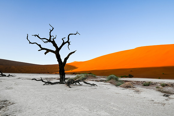 20220419_namibia-3003.jpg