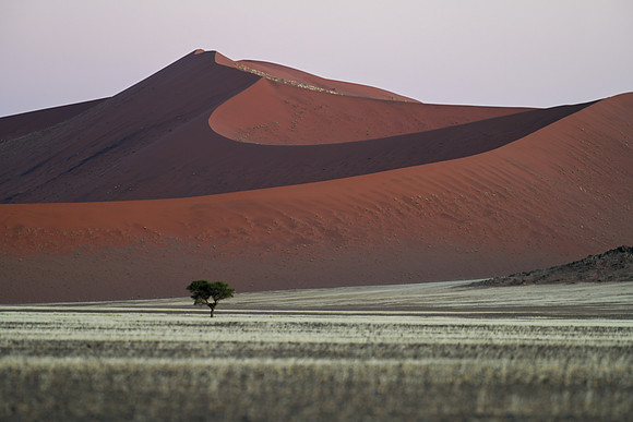 20220419_namibia-7573.jpg