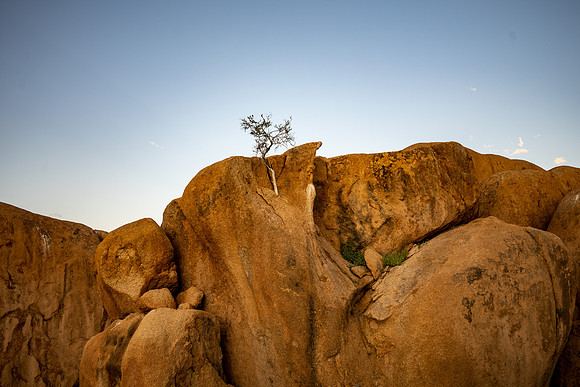 20220419_namibia-14842.jpg
