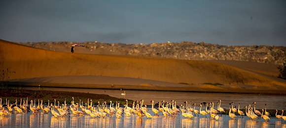 20220419_namibia-11600.jpg