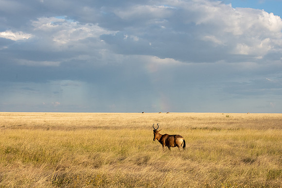 20220419_namibia-17719.jpg