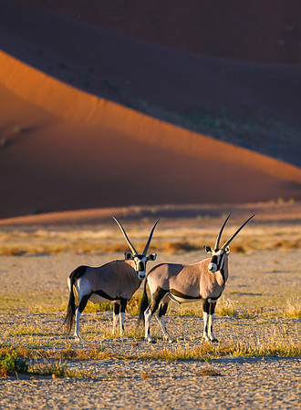 20220419_namibia-7481.jpg
