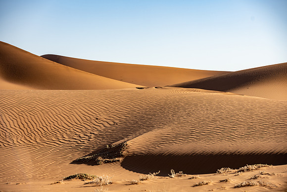 20220419_namibia-9174.jpg