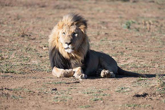 20220419_namibia-7742.jpg