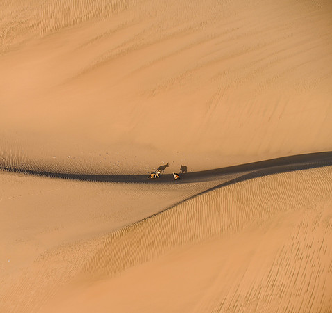 20220419_namibia-1698.jpg