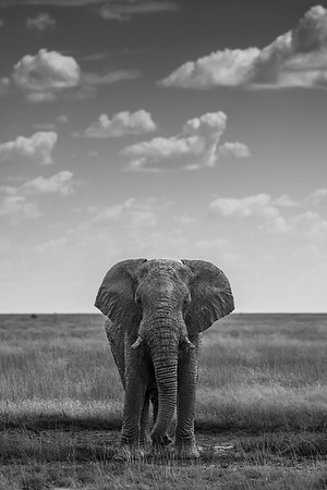 20220419_namibia-21086-2.jpg