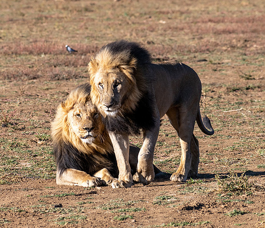 20220419_namibia-7529.jpg
