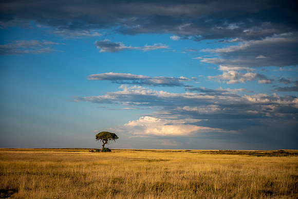 20220419_namibia-17316.jpg