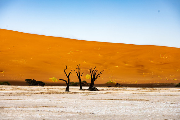 20220419_namibia-6736.jpg