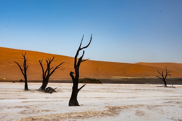 20220419_namibia-6903.jpg