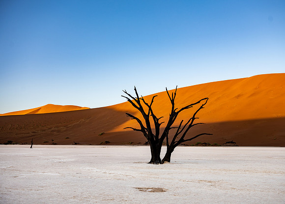 20220419_namibia-6790.jpg