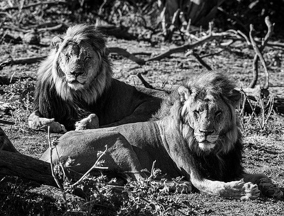 20220419_namibia-8107-2.jpg