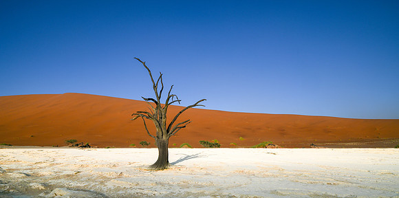 20220419_namibia-2813.jpg