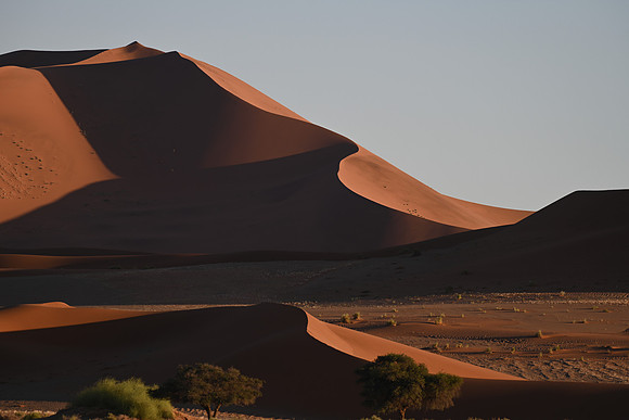 20220419_namibia-7396.jpg