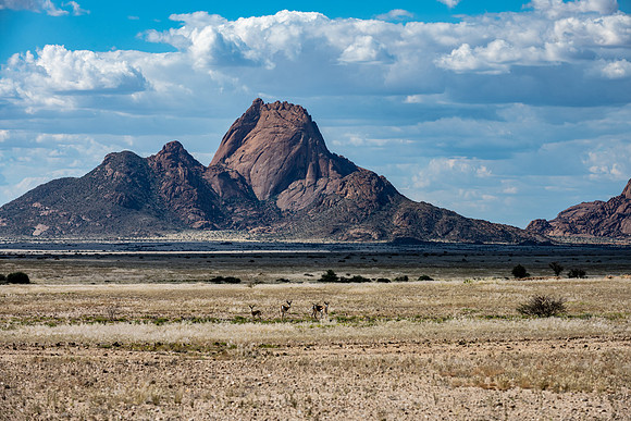 20220419_namibia-10876.jpg