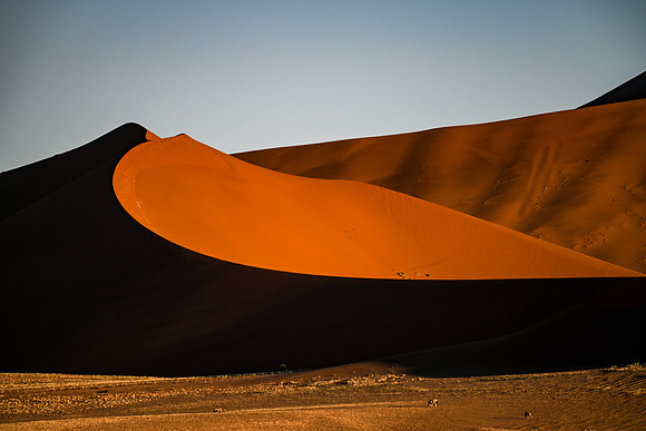 20220419_namibia-3514.jpg