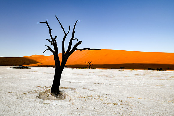 20220419_namibia-2855.jpg