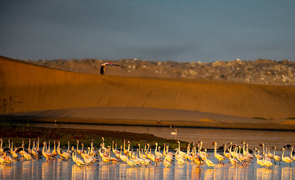20220419_namibia-11600-2.jpg