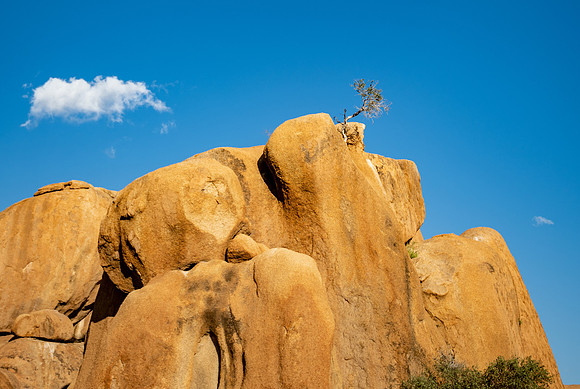 20220419_namibia-14436-2.jpg
