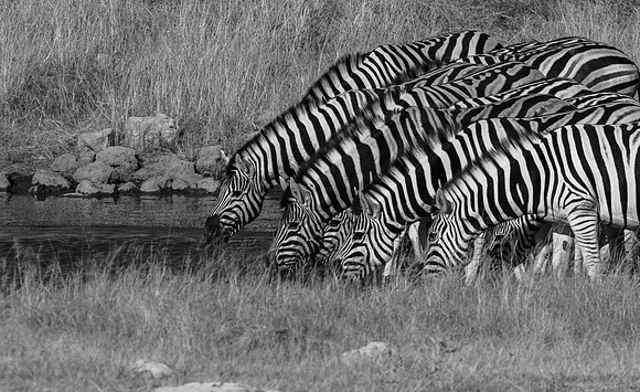20220419_namibia-19418-2.jpg