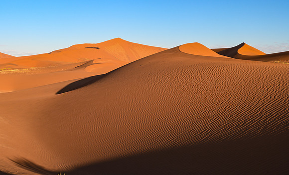 20220419_namibia-4470.jpg