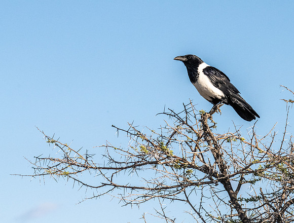 20220419_namibia-18466.jpg