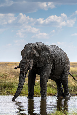 20220419_namibia-22085.jpg