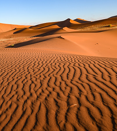 20220419_namibia-4489.jpg