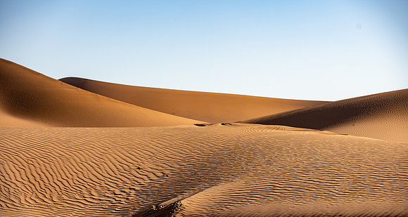 20220419_namibia-9276.jpg