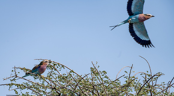 20220419_namibia-20483.jpg