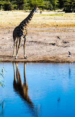 20220419_namibia-21734.jpg